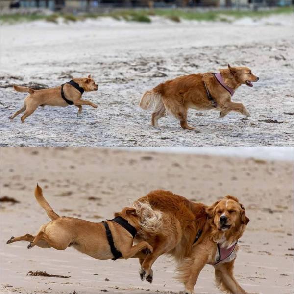 Acid Picdump. Part 1 (127 pics)