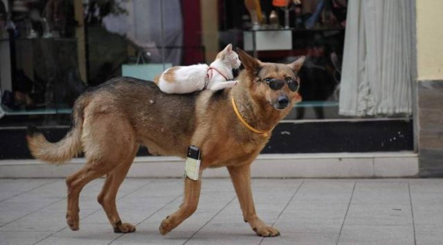 Acid Picdump. Part 1 (127 pics)