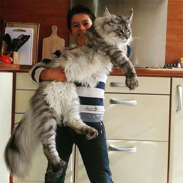 Acid Picdump. Part 1 (127 pics)