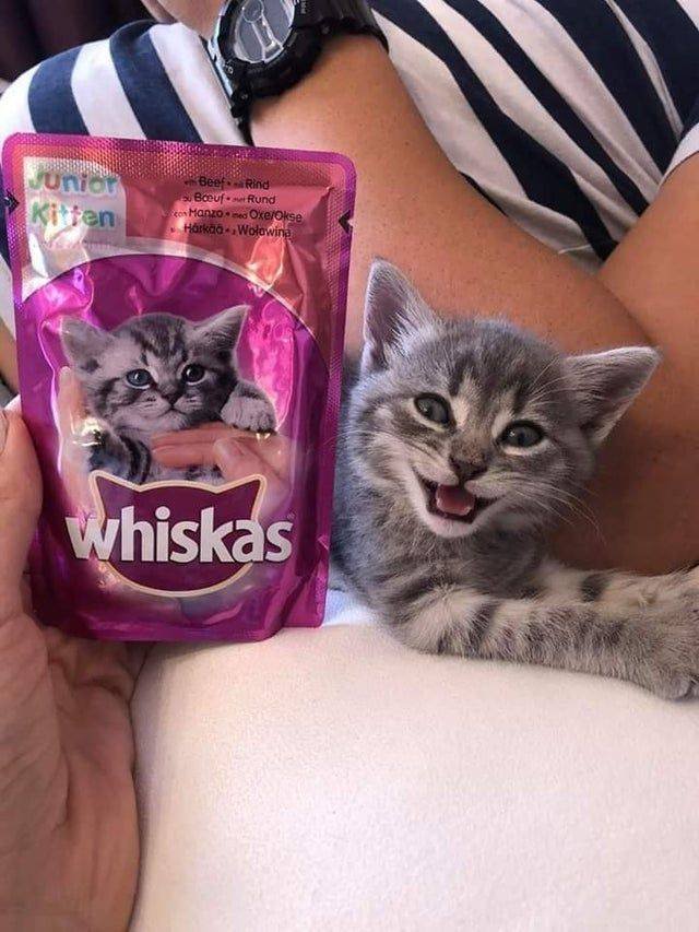 Acid Picdump. Part 1 (127 pics)