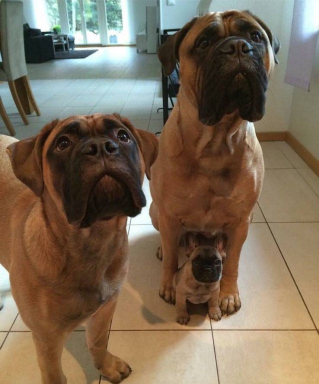 Acid Picdump. Part 1 (127 pics)