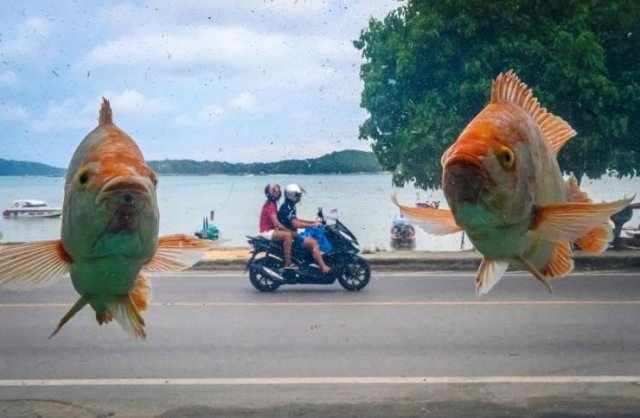 Acid Picdump. Part 1 (127 pics)