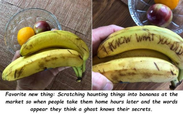 The Art Of Trolling (24 pics)