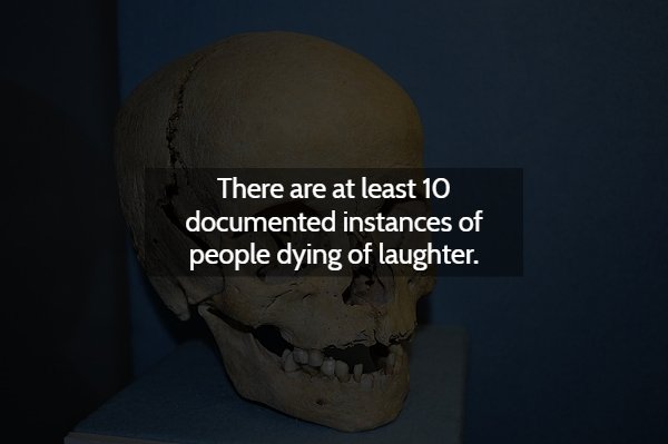 Random Scary Facts (15 pics)