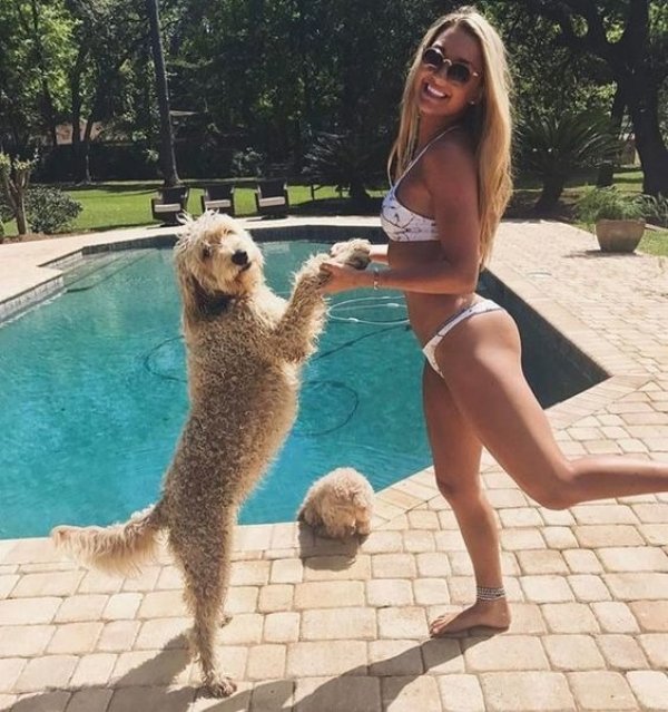 Cute Dogs Pictures (42 pics)
