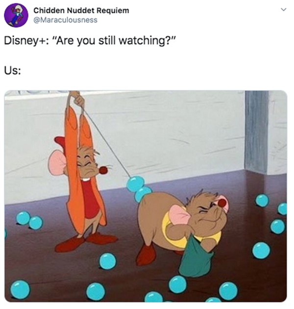 Disney Plus Memes 30 Pics 