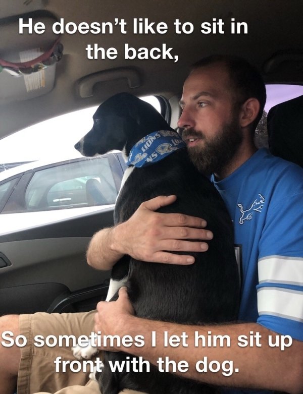 Cute Dogs Pictures (42 pics)