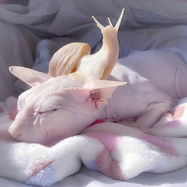 Acid Picdump. Part 1 (70 pics)