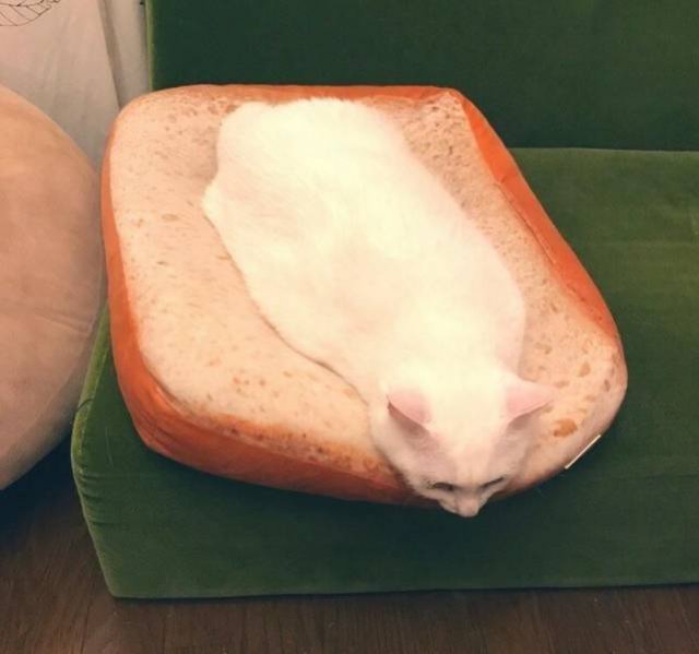 Acid Picdump. Part 1 (70 pics)