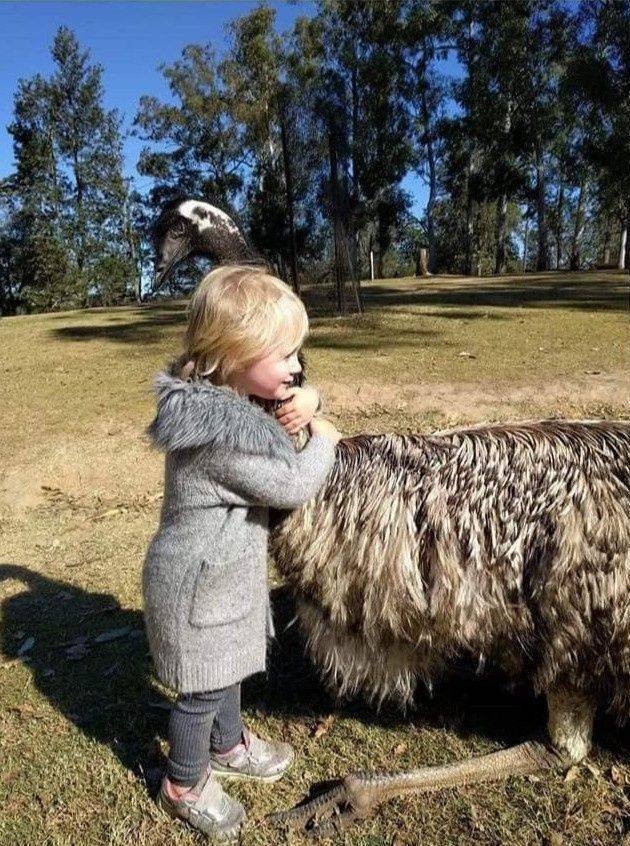 Acid Picdump. Part 1 (70 pics)