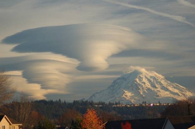 Acid Picdump. Part 1 (70 pics)