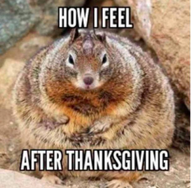 Thanksgiving Memes (34 pics)