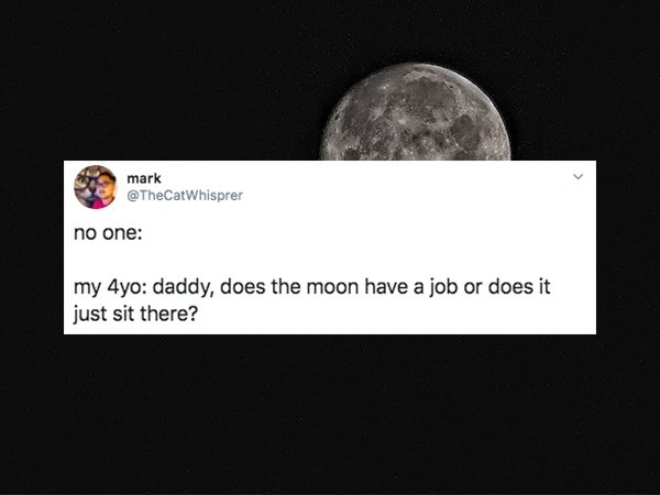 Tweets From Parents (30 pics)