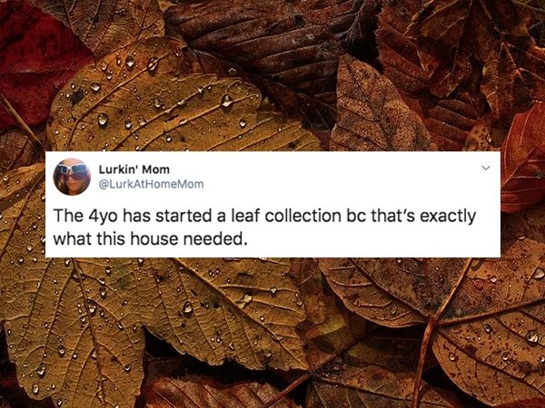 Tweets From Parents (30 pics)