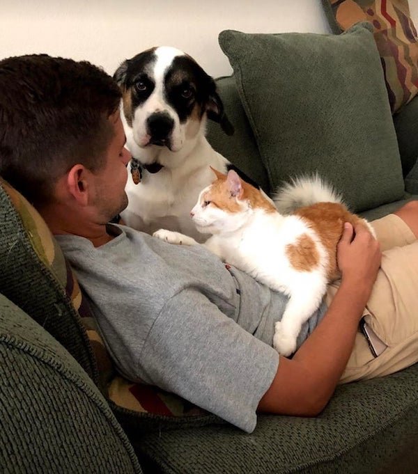 Falling In Love With Your Pet (35 pics)