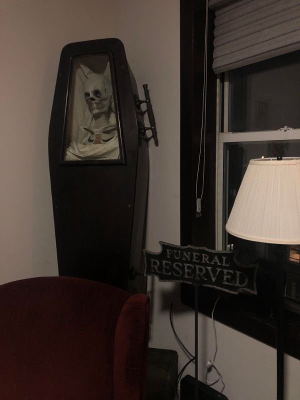 Spooky But Interesting Oddities (25 pics)