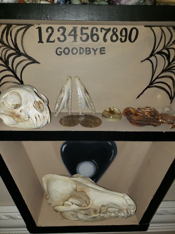 Spooky But Interesting Oddities (25 pics)