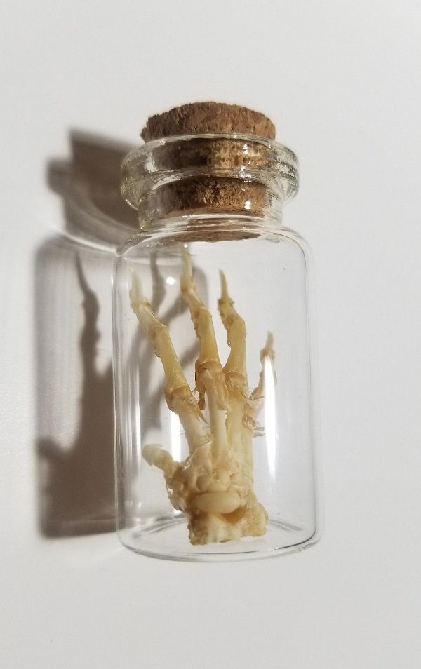 Spooky But Interesting Oddities (25 pics)