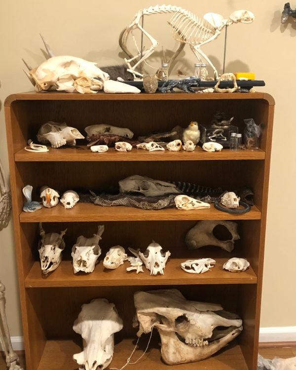 Spooky But Interesting Oddities (25 pics)