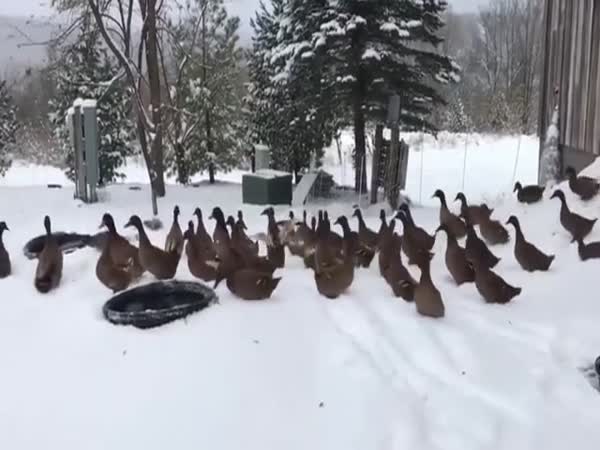 When It's Too Cold Outside