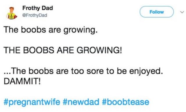 When Your Wife Is Pregnant (17 pics)