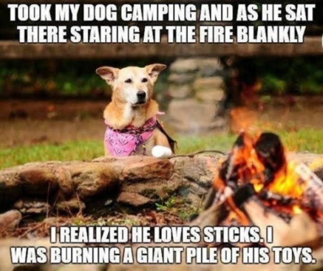 Camping Memes (34 pics)
