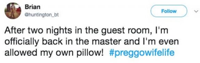 When Your Wife Is Pregnant (17 pics)