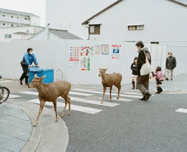 Acid Picdump. Part 1 (95 pics)