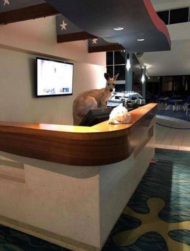 Acid Picdump. Part 1 (95 pics)
