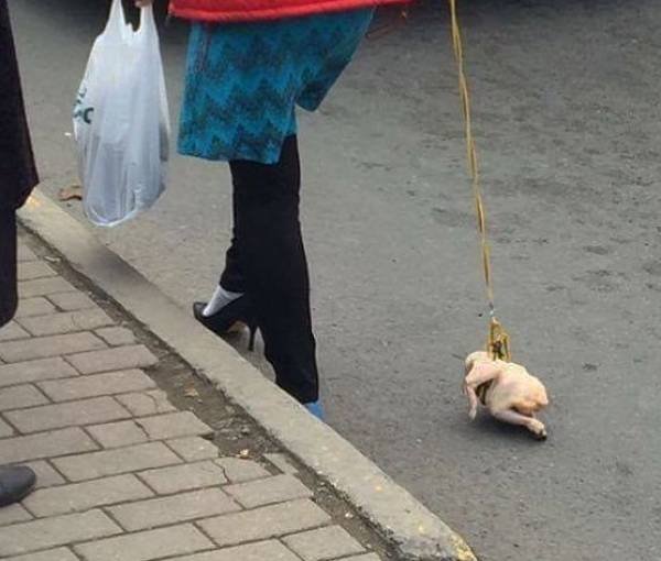 Acid Picdump. Part 1 (95 pics)