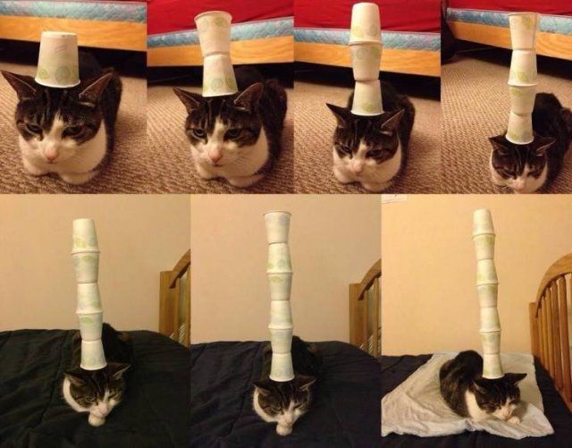 Acid Picdump. Part 1 (95 pics)