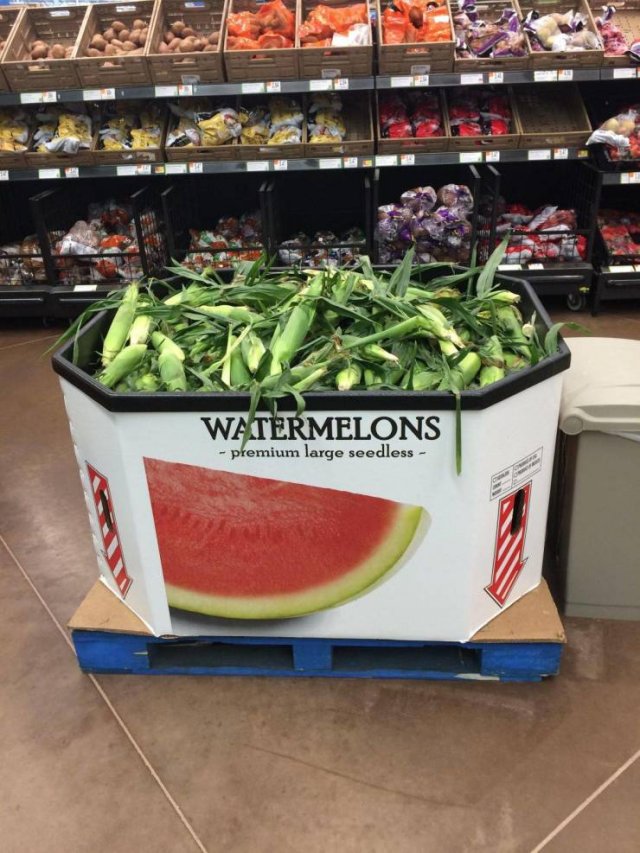 Acid Picdump. Part 1 (95 pics)