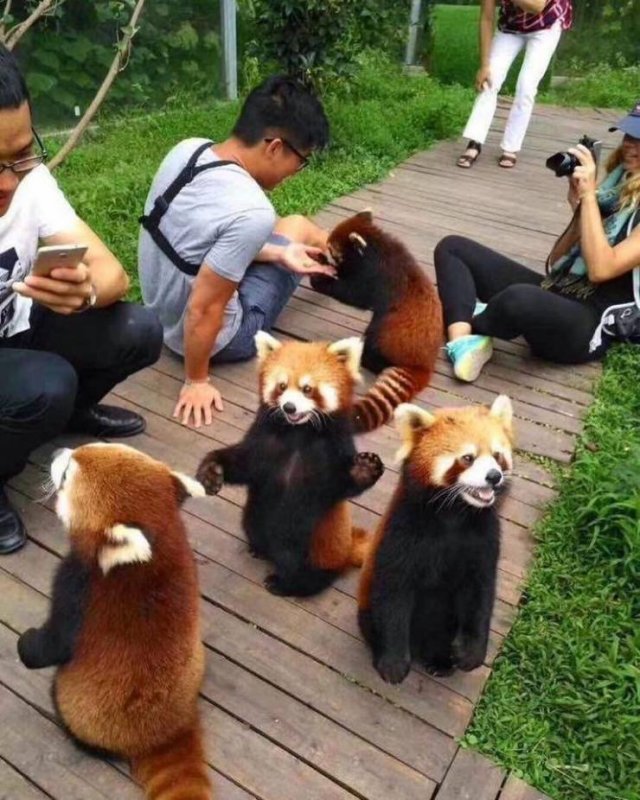 Acid Picdump. Part 1 (95 pics)