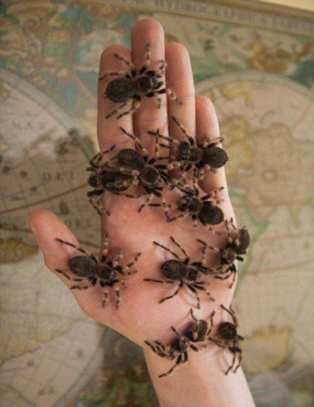 Acid Picdump. Part 1 (95 pics)