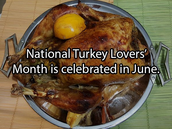 Facts About Turkeys (24 pics)