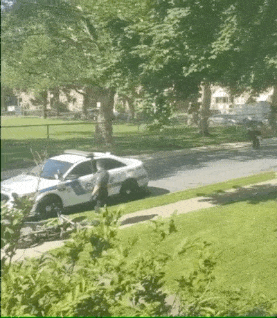 When Police Arrive In Time (15 gifs)