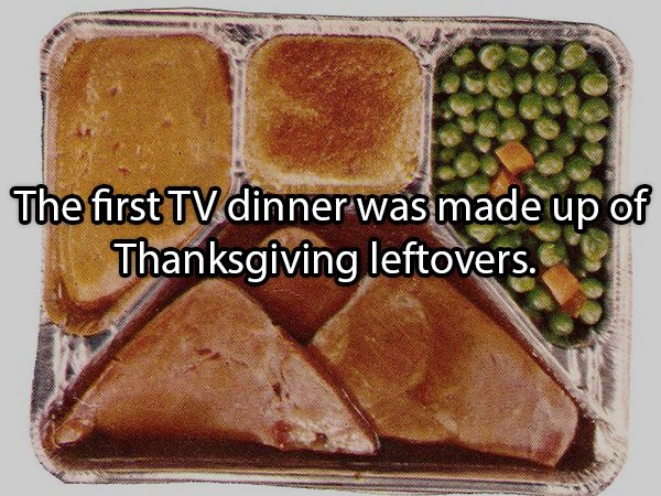 Facts About Turkeys (24 pics)