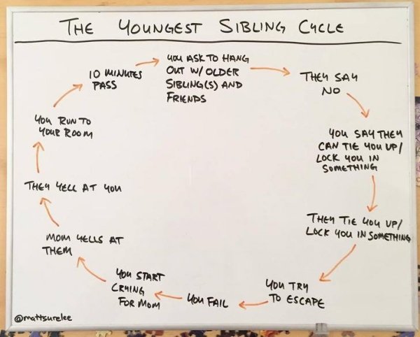 Cool Diagrams (30 pics)