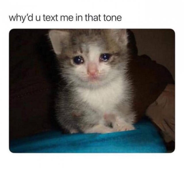 Special Someone Memes (31 pics)