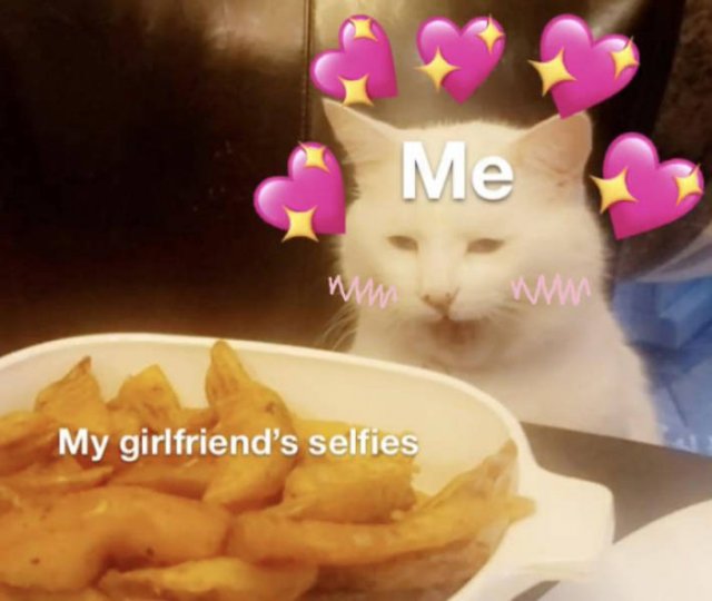 Special Someone Memes (31 pics)