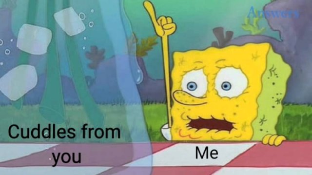 Special Someone Memes (31 pics)