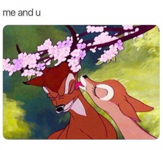 Special Someone Memes (31 pics)