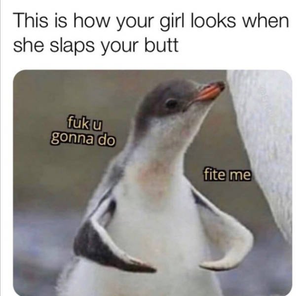 Special Someone Memes (31 pics)