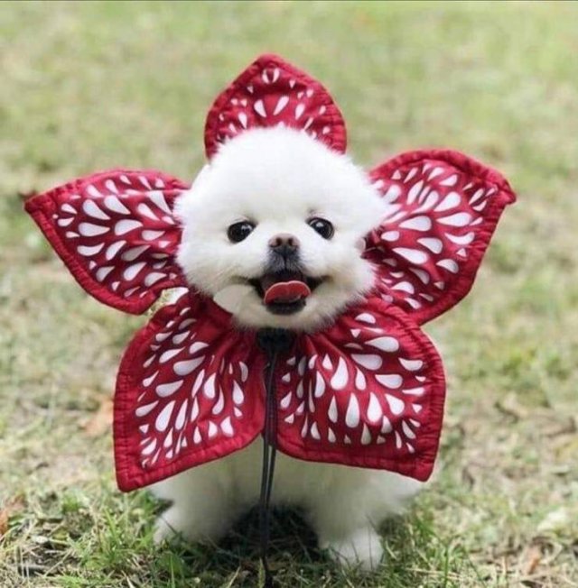 Acid Picdump. Part 1 (95 pics)