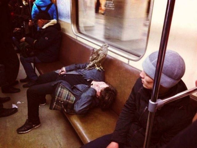 Acid Picdump. Part 1 (95 pics)