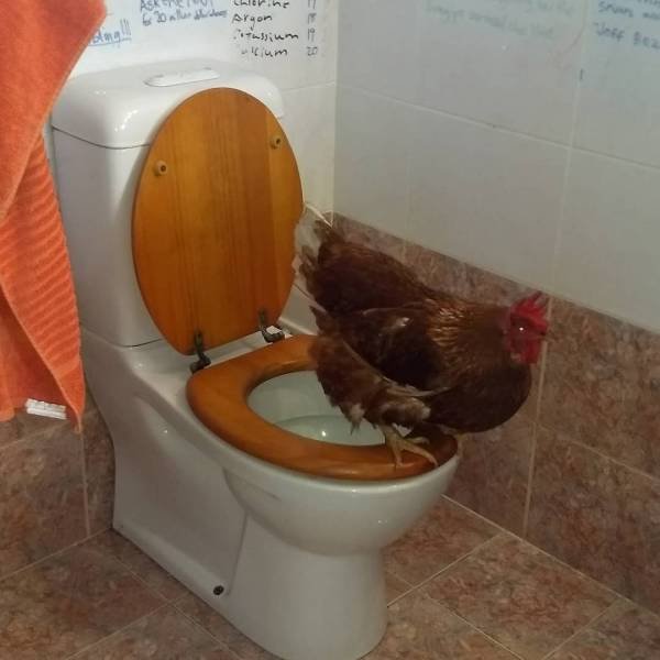 Acid Picdump. Part 1 (95 pics)
