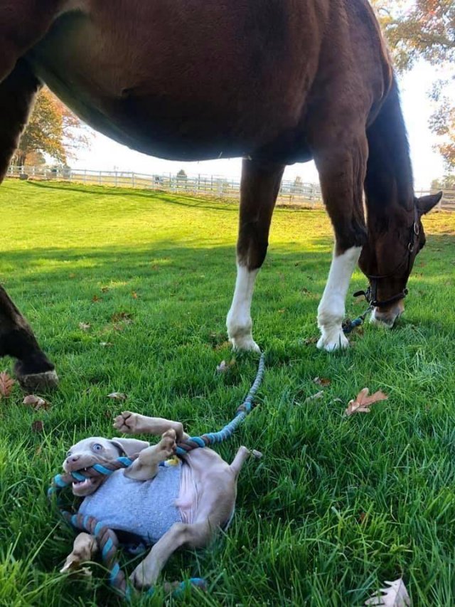 Acid Picdump. Part 1 (95 pics)