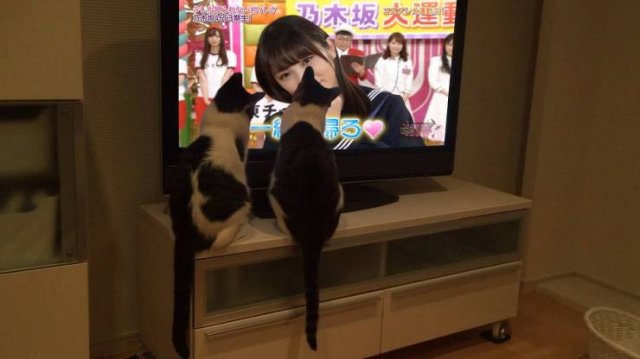 Acid Picdump. Part 1 (95 pics)