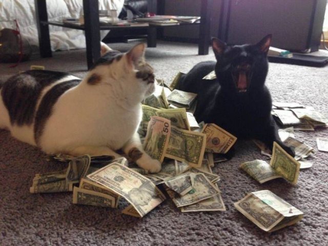 Acid Picdump. Part 1 (95 pics)