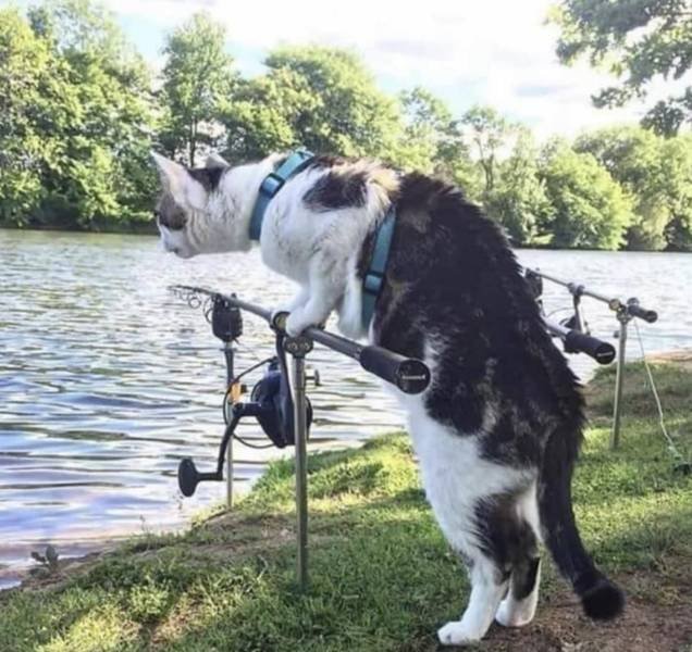 Acid Picdump. Part 1 (95 pics) Acid Picdump. Part 1 (95 pics)